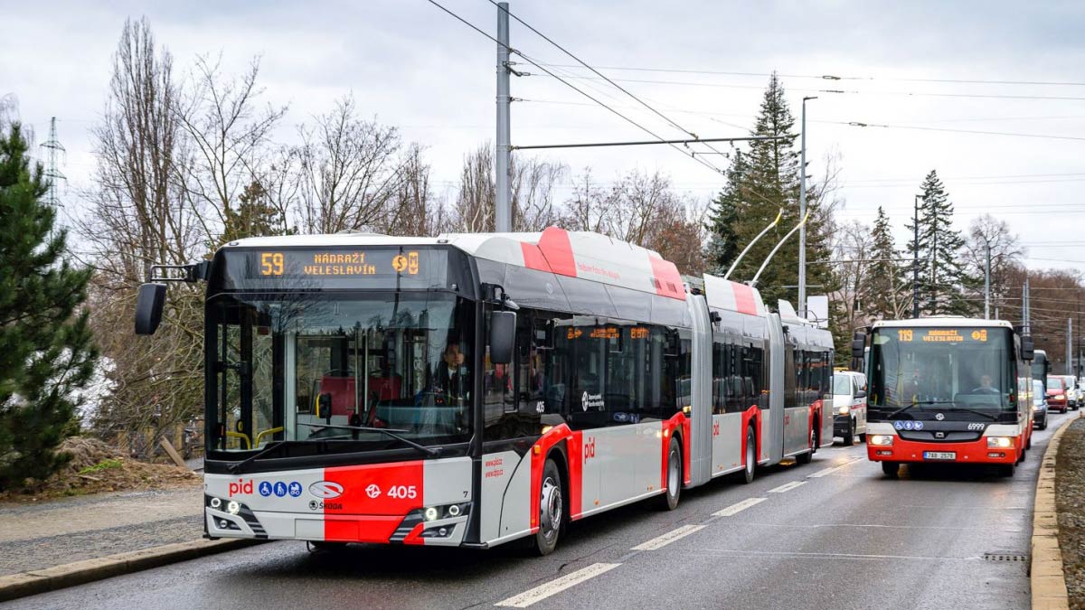 Vue du bus 59